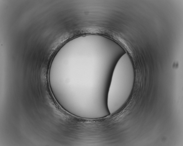X0000090860394200707270938