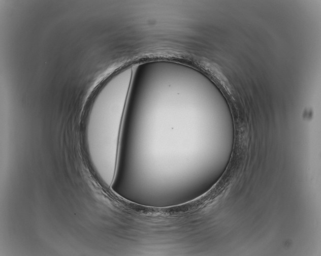 X0000090860395200707270938