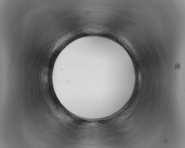 X0000090860396200707270938