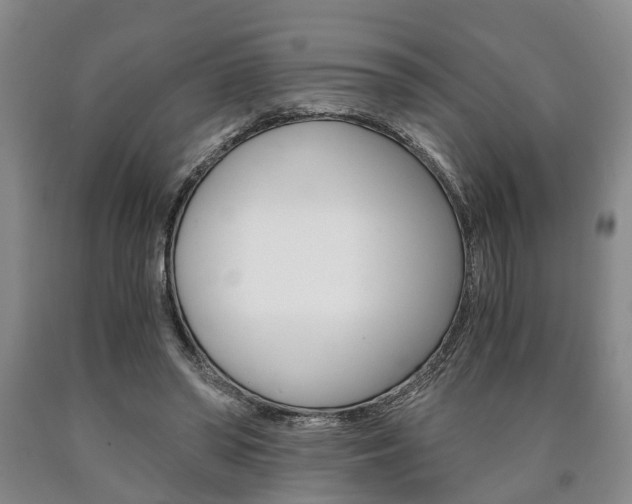 X0000090860398200707270938