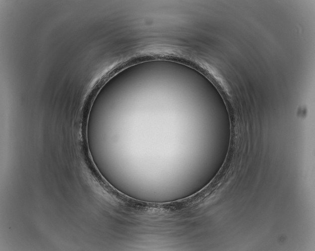 X0000090860399200707270938