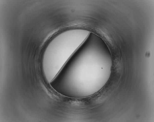 X0000090860400200707270938