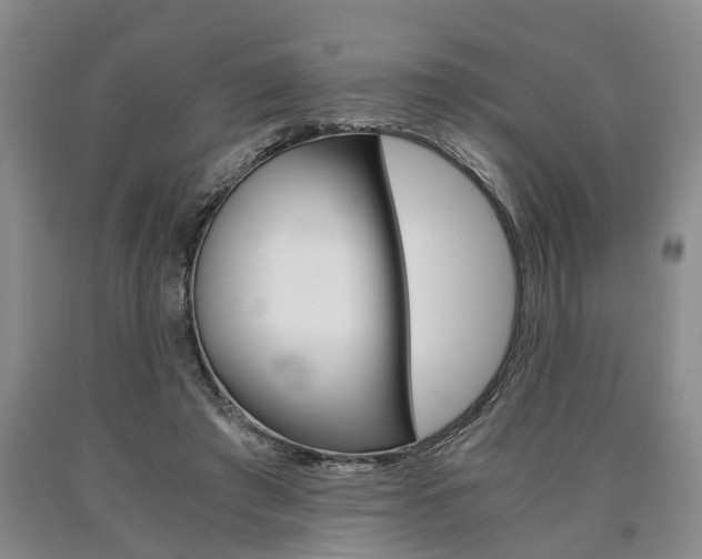 X0000090860401200707270938