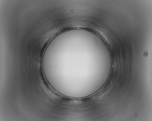 X0000090860402200707270938