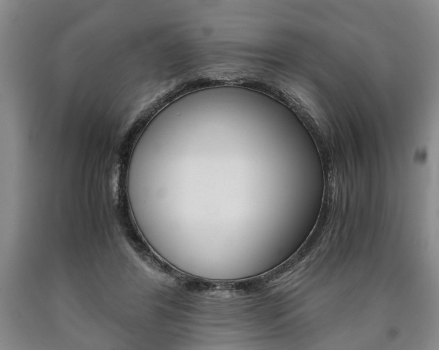X0000090860404200707270938
