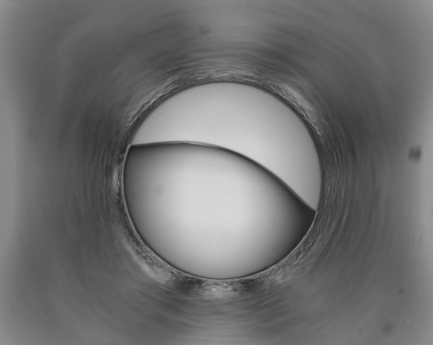 X0000090860405200707270938