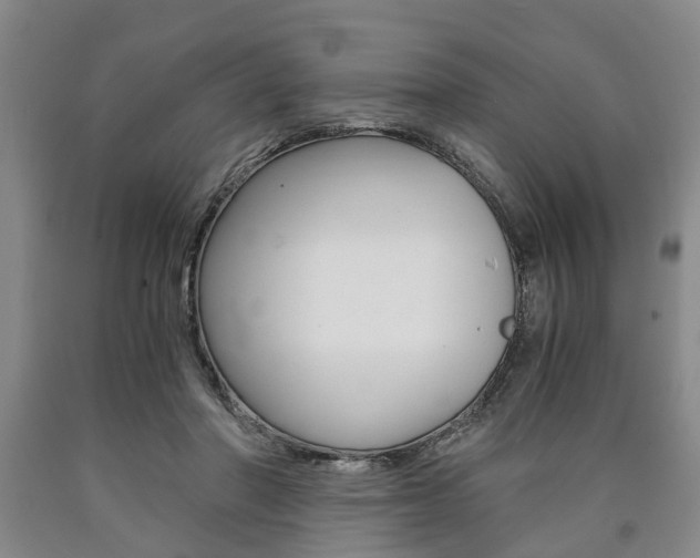 X0000090860406200707270938