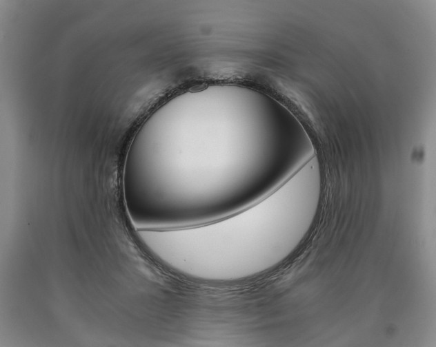 X0000090860407200707270938