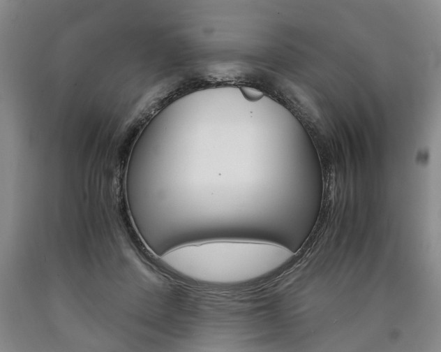 X0000090860408200707270938
