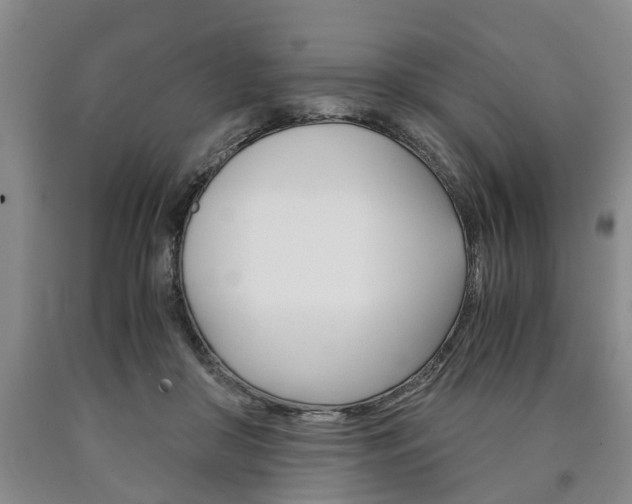 X0000090860410200707270938