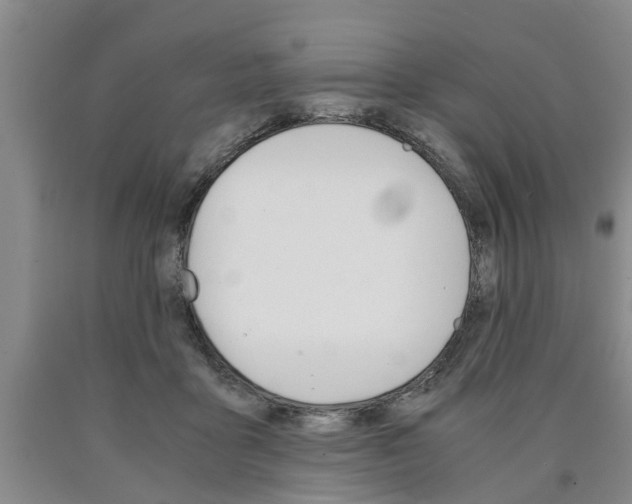 X0000090860411200707270938
