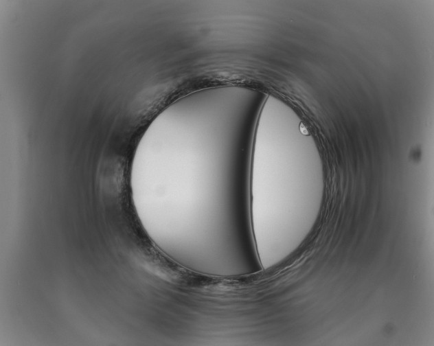 X0000090860412200707270938