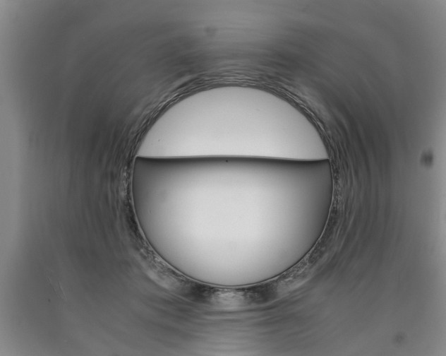 X0000090860413200707270938