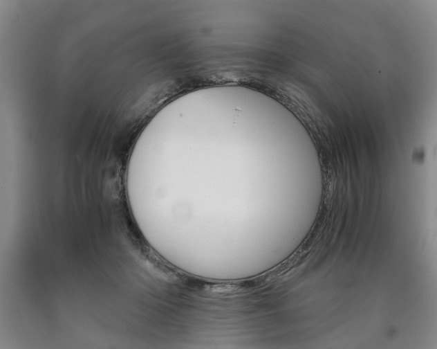 X0000090860414200707270938