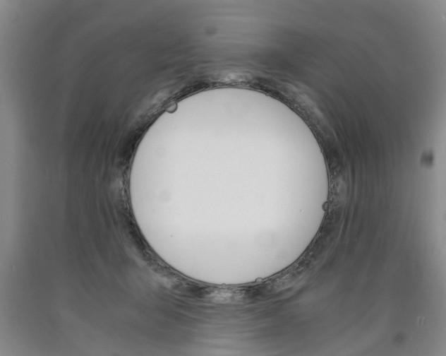 X0000090860415200707270938