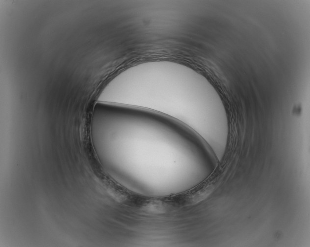 X0000090860416200707270938