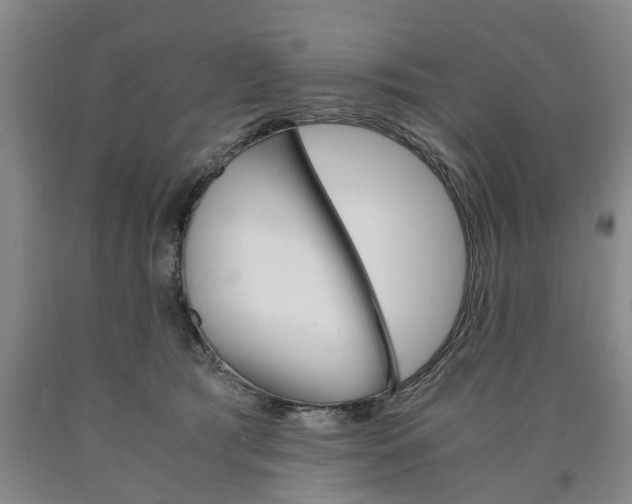 X0000090860417200707270938