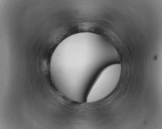 X0000090860420200707270937