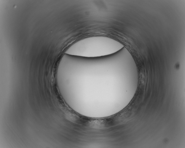 X0000090860422200707270937