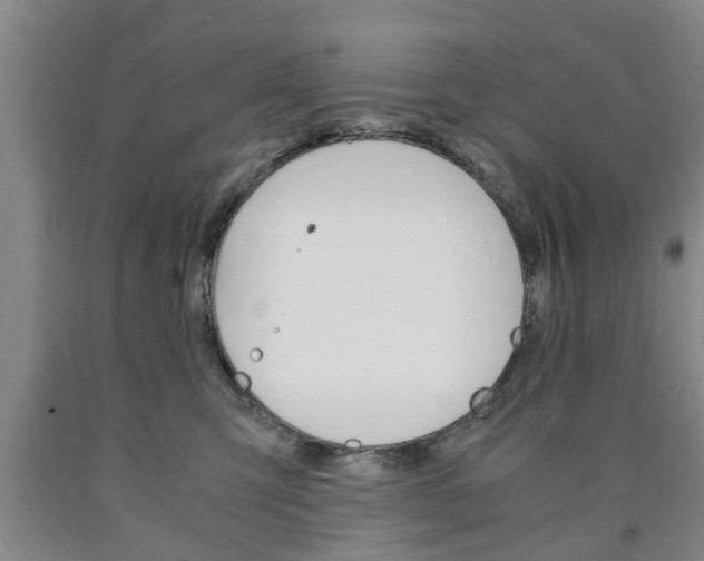 X0000090860423200707270937