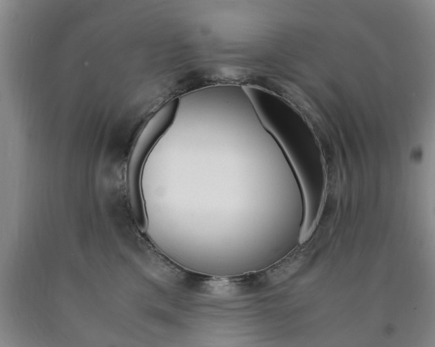 X0000090860425200707270937