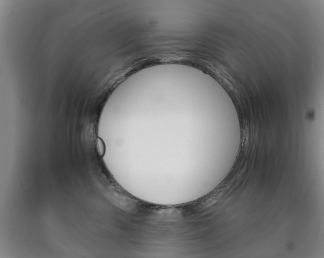 X0000090860426200707270937