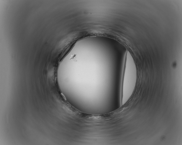 X0000090860428200707270937