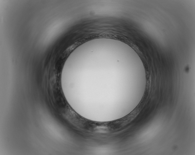X0000090860430200707270937