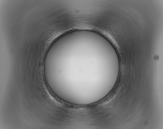 X0000090860433200707270937