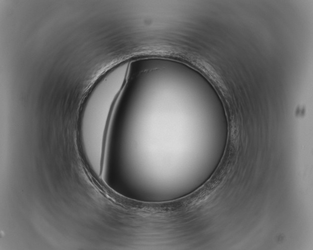 X0000090860434200707270937