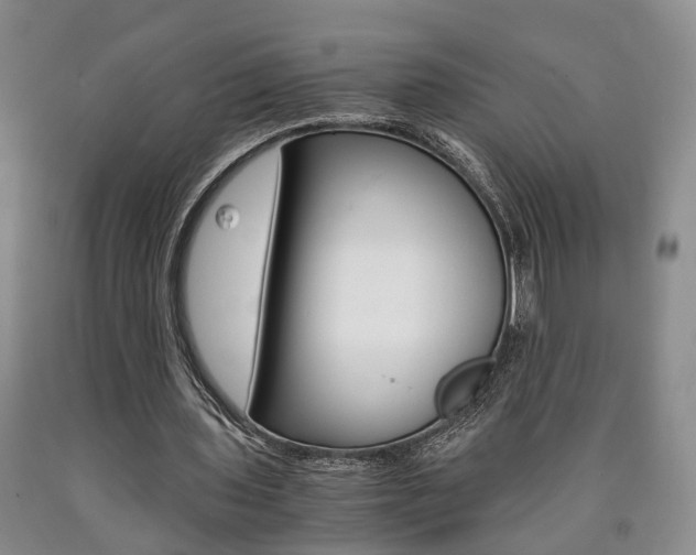 X0000090860435200707270937