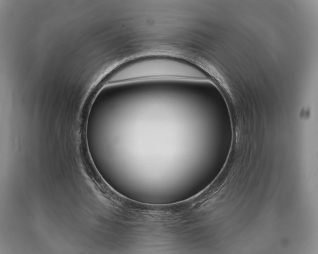 X0000090860436200707270937