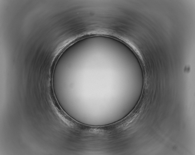 X0000090860437200707270937