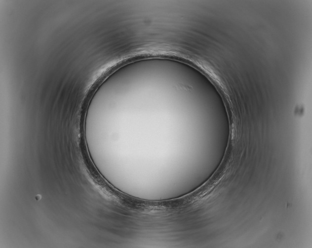 X0000090860438200707270937