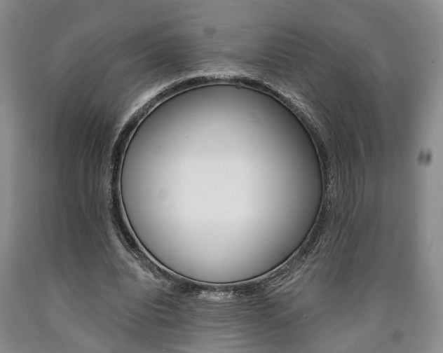 X0000090860440200707270937