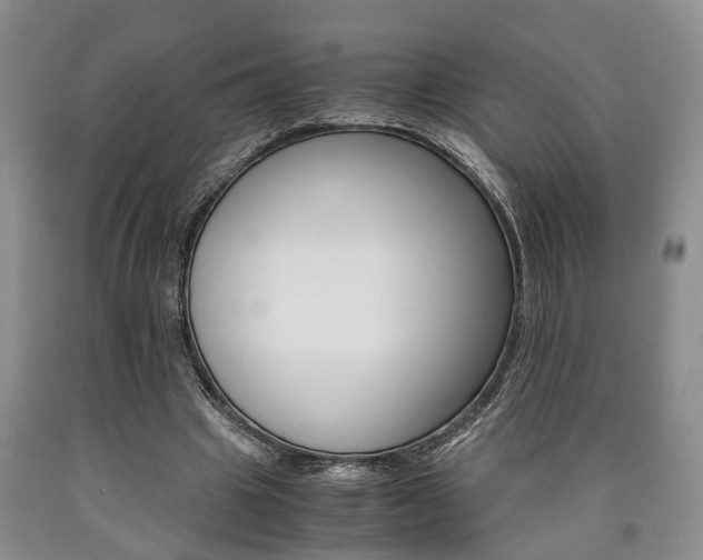 X0000090860441200707270937