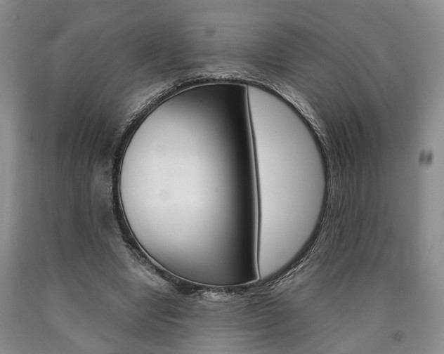 X0000090860442200707270937