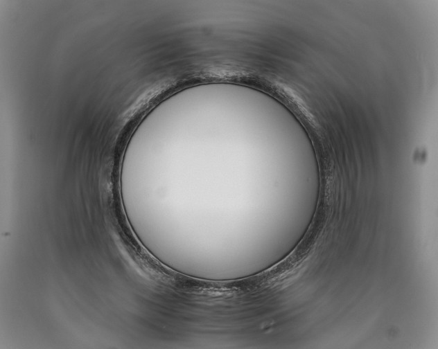 X0000090860443200707270937