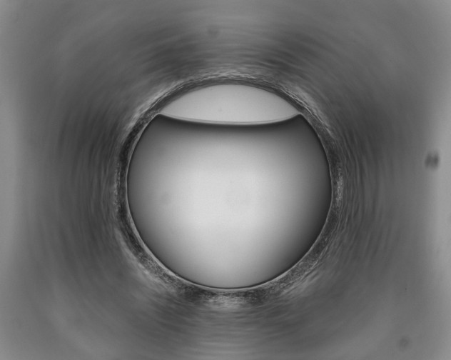 X0000090860444200707270937