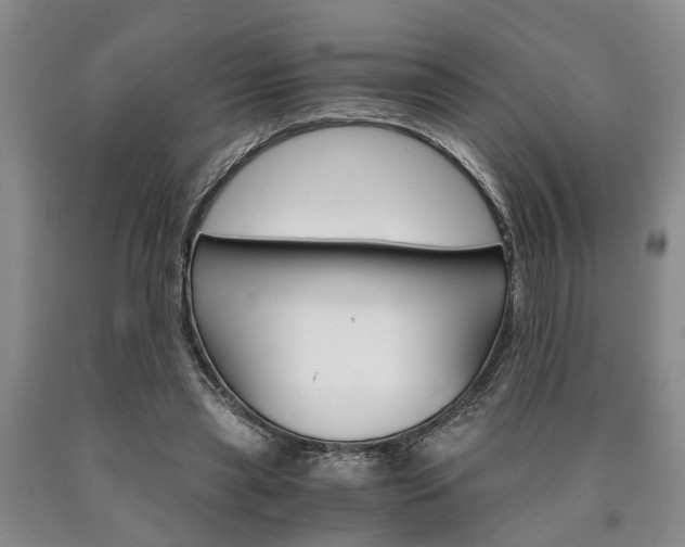 X0000090860445200707270937