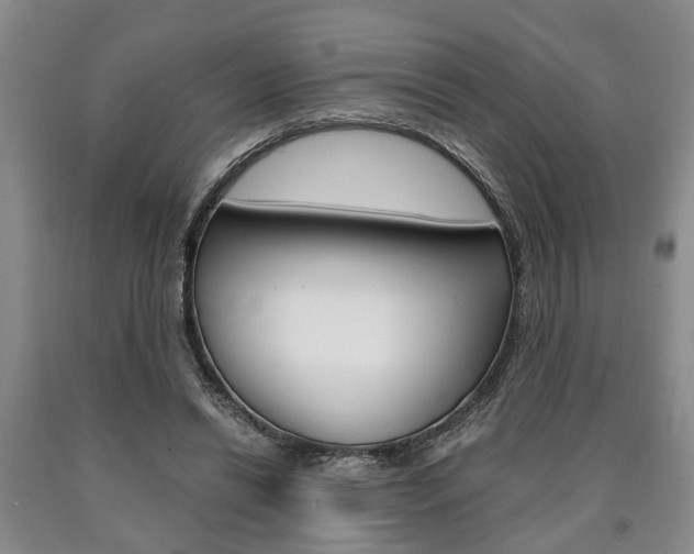 X0000090860446200707270937