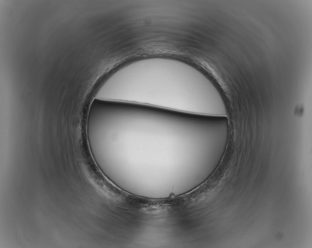X0000090860447200707270937