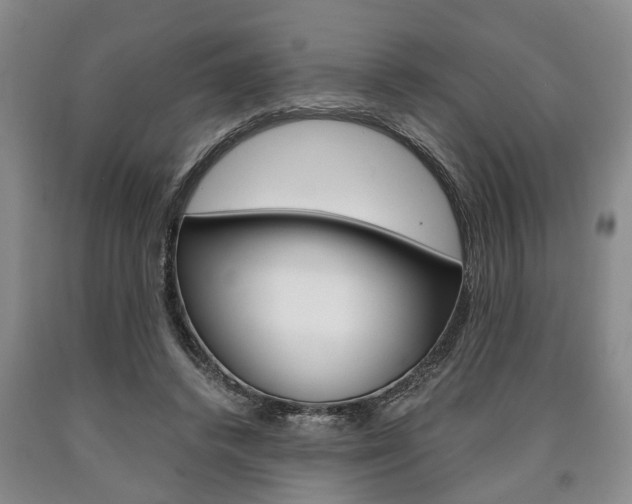 X0000090860448200707270937