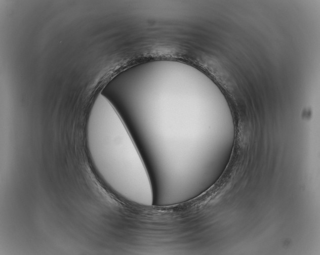X0000090860449200707270937