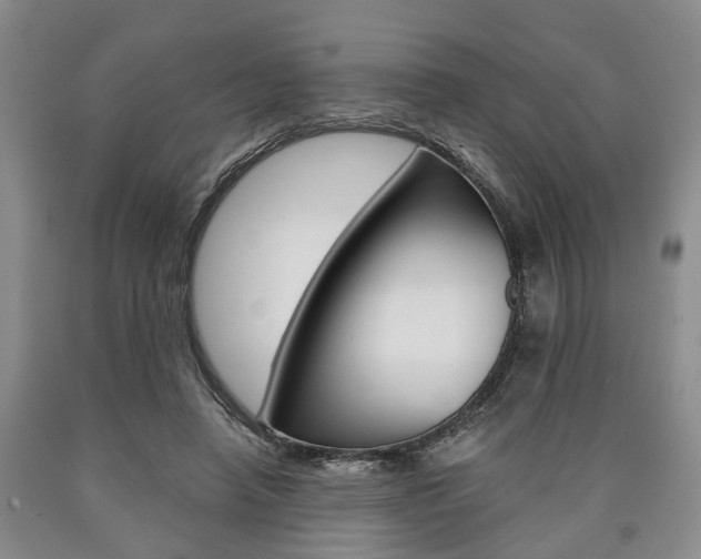 X0000090860450200707270937