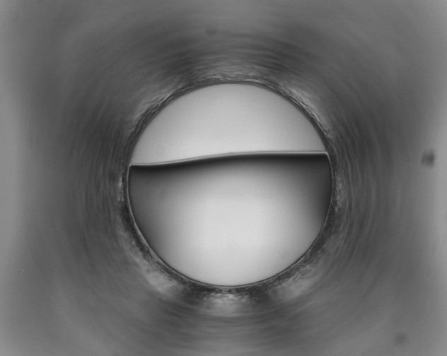 X0000090860453200707270937