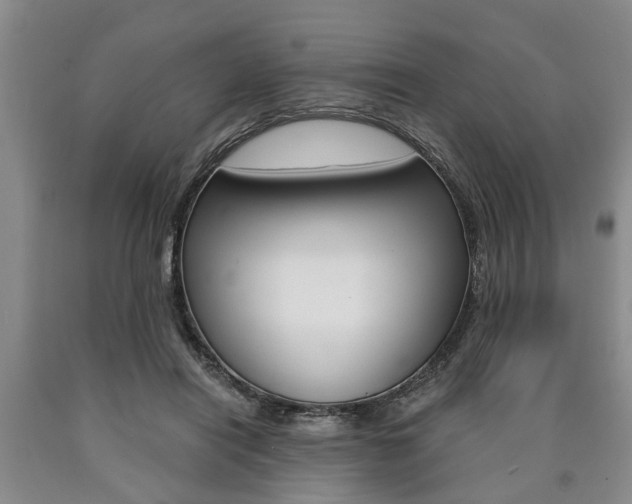 X0000090860454200707270937