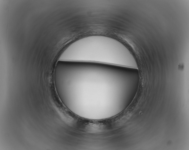 X0000090860455200707270937