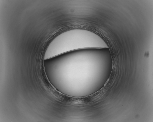 X0000090860456200707270937