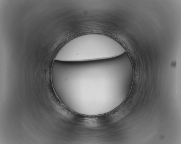 X0000090860457200707270937